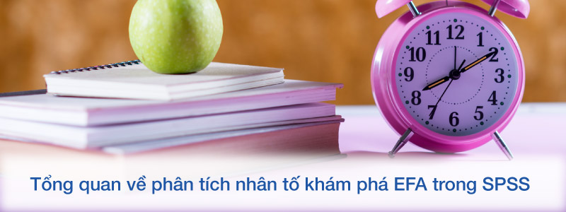 Tổng quan về phân tích nhân tố khám phá EFA trong SPSS
