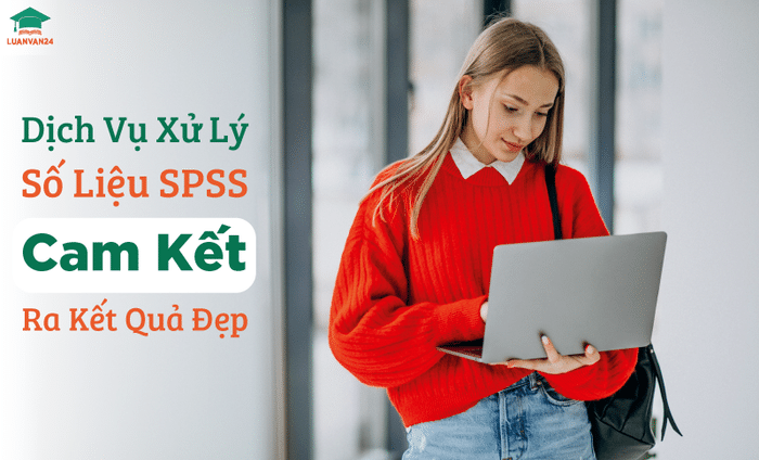 hinh-anh-dich-vu-xu-ly-so-lieu-spss-2