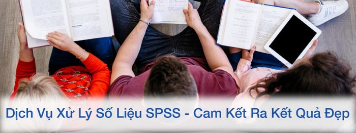 hinh-anh-dich-vu-xu-ly-so-lieu-spss-3