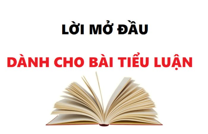 hinh-anh-loi-mo-dau-tieu-luan-1