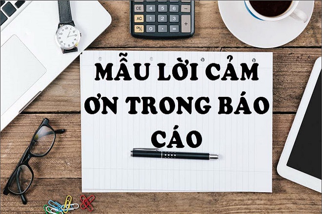 6 Mẫu lời mở đầu báo cáo thực tập của các ngành tiêu biểu