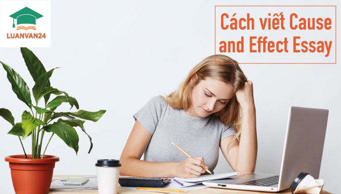 Hình ảnh cách viết cause and effect essay 1