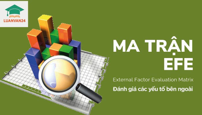 Hình ảnh ma trận efe 1